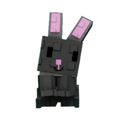 Black Bunny